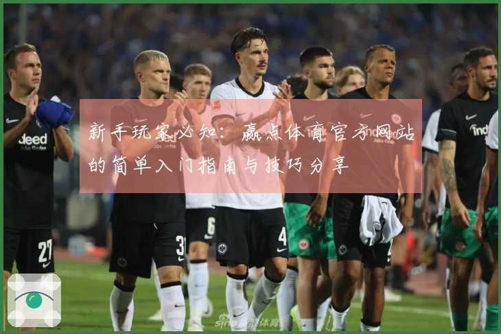 新手玩家必知：赢点体育官方网站的简单入门指南与技巧分享