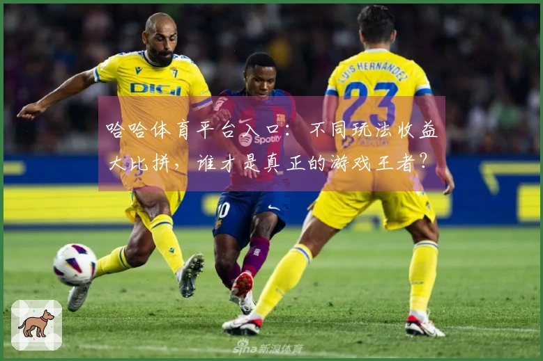 哈哈体育平台入口：不同玩法收益大比拼，谁才是真正的游戏王者？