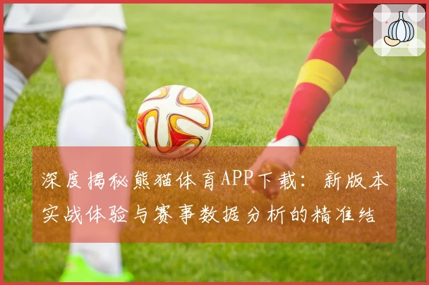深度揭秘熊猫体育APP下载：新版本实战体验与赛事数据分析的精准结合