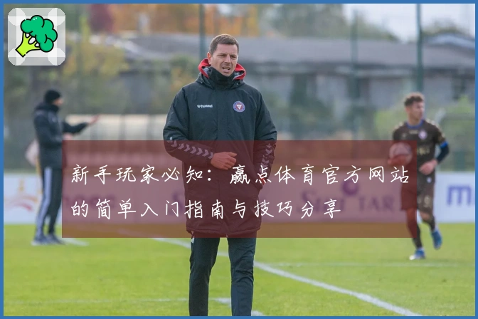 新手玩家必知：赢点体育官方网站的简单入门指南与技巧分享